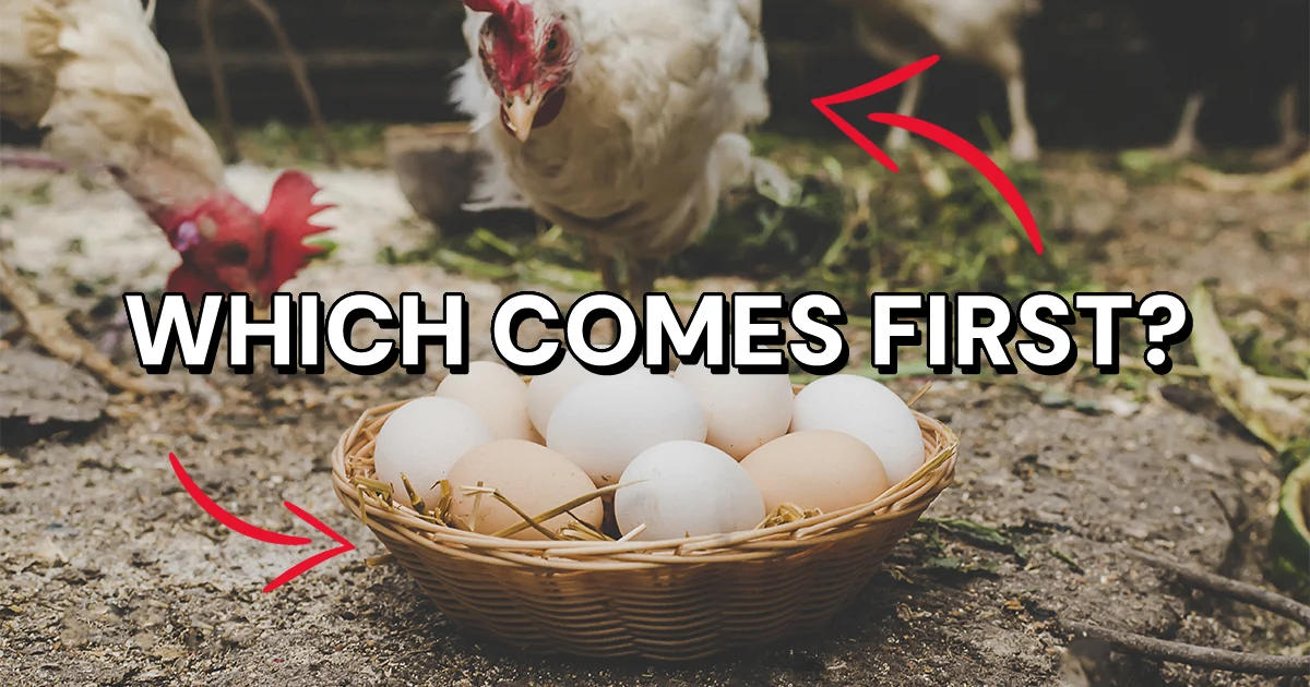 Content-First Design: The Secret to a Money-Making Website