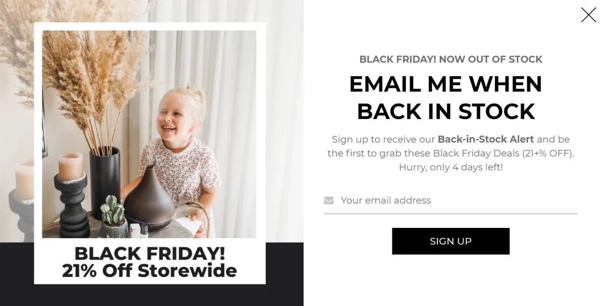 The back in stock popup used to collect email subscribers after Black Friday 2020