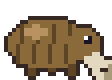 Burrower