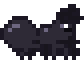 Ant