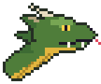 A head
